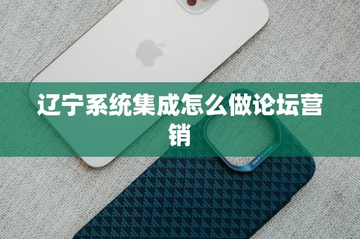 辽宁系统集成怎么做论坛营销