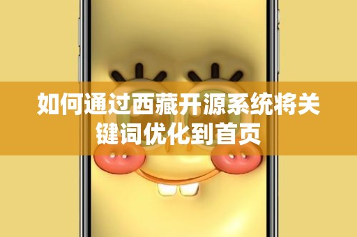 如何通过西藏开源系统将关键词优化到首页