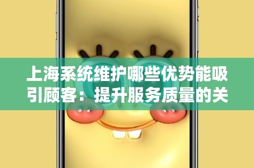 上海系统维护哪些优势能吸引顾客：提升服务质量的关键因素