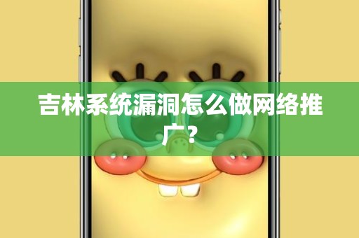 吉林系统漏洞怎么做网络推广？