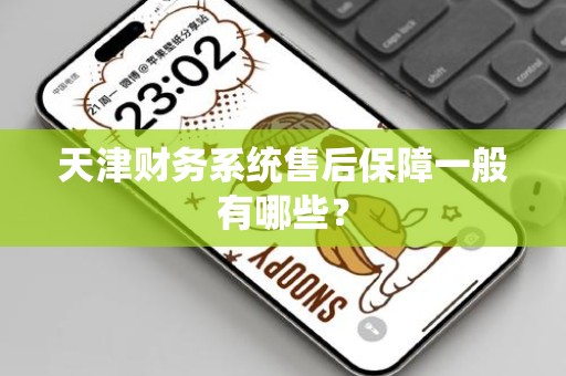天津财务系统售后保障一般有哪些？