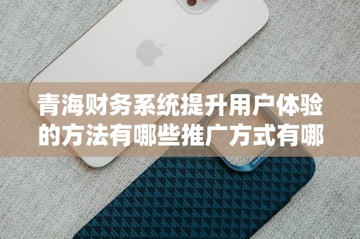 青海财务系统提升用户体验的方法有哪些推广方式有哪些
