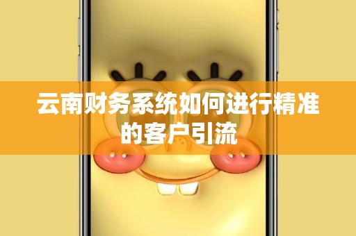 云南财务系统如何进行精准的客户引流