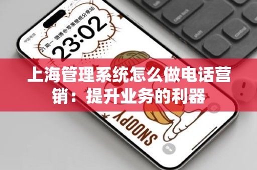 上海管理系统怎么做电话营销：提升业务的利器