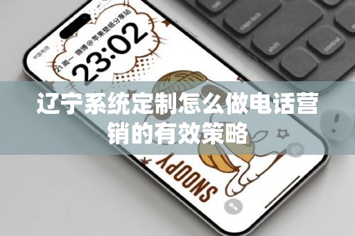 辽宁系统定制怎么做电话营销的有效策略