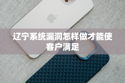辽宁系统漏洞怎样做才能使客户满足