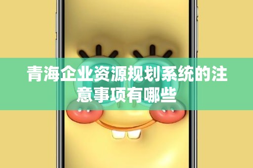 青海企业资源规划系统的注意事项有哪些