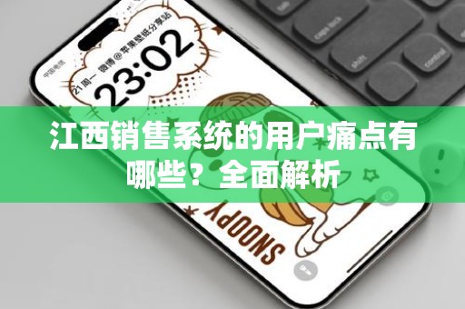 江西销售系统的用户痛点有哪些？全面解析