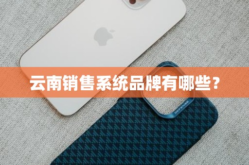 云南销售系统品牌有哪些？