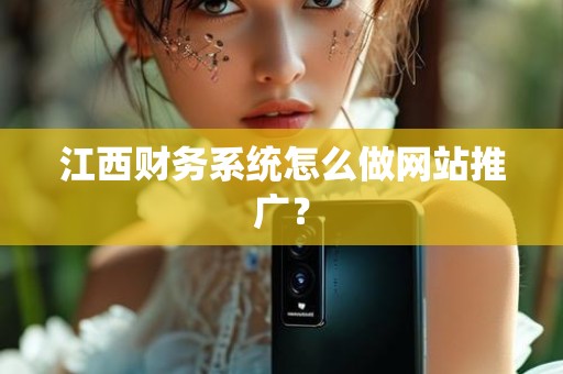 江西财务系统怎么做网站推广？