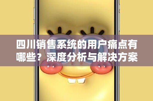 四川销售系统的用户痛点有哪些？深度分析与解决方案