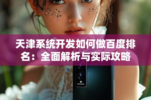 天津系统开发如何做百度排名：全面解析与实际攻略
