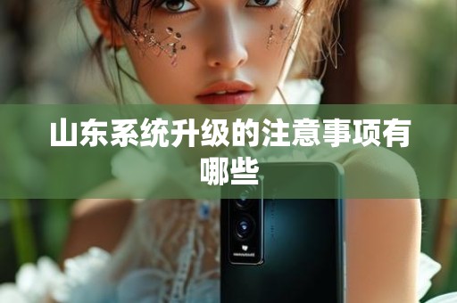 山东系统升级的注意事项有哪些