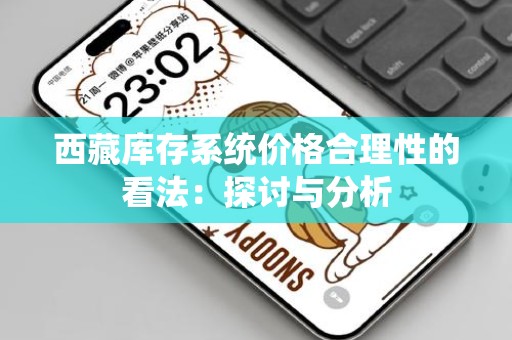 西藏库存系统价格合理性的看法：探讨与分析