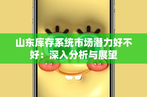 山东库存系统市场潜力好不好：深入分析与展望