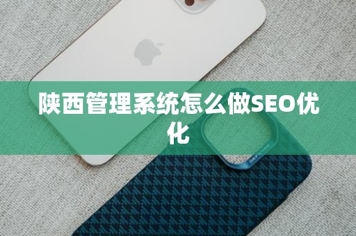 陕西管理系统怎么做SEO优化