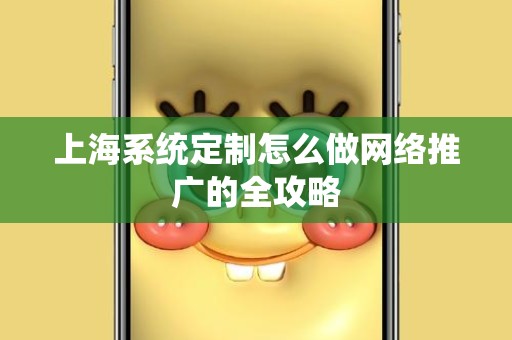 上海系统定制怎么做网络推广的全攻略