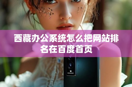西藏办公系统怎么把网站排名在百度首页