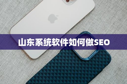 山东系统软件如何做SEO