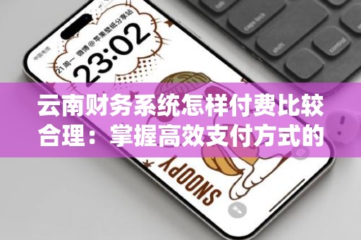 云南财务系统怎样付费比较合理：掌握高效支付方式的关键