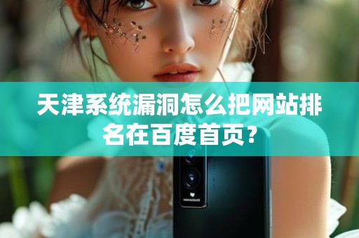 天津系统漏洞怎么把网站排名在百度首页？
