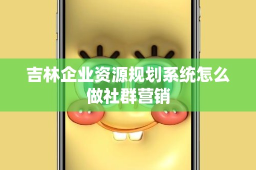 吉林企业资源规划系统怎么做社群营销