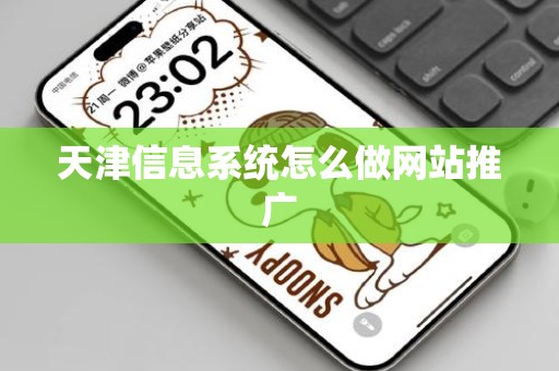 天津信息系统怎么做网站推广