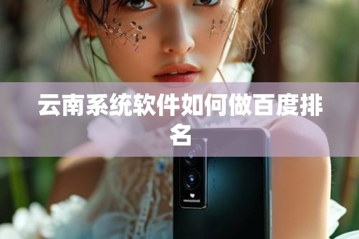云南系统软件如何做百度排名