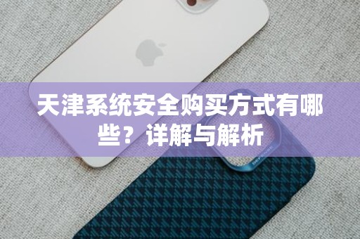 天津系统安全购买方式有哪些？详解与解析