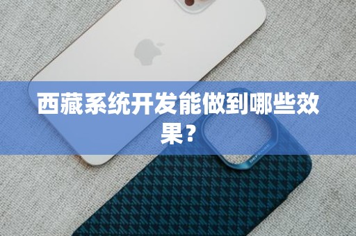 西藏系统开发能做到哪些效果？