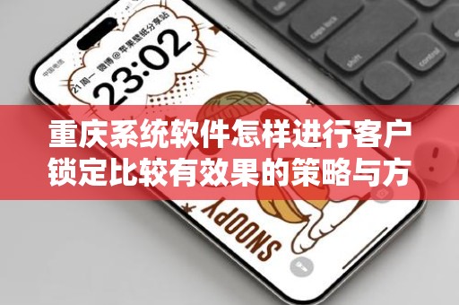 重庆系统软件怎样进行客户锁定比较有效果的策略与方法