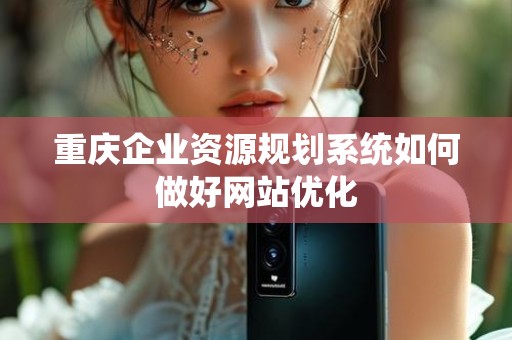 重庆企业资源规划系统如何做好网站优化