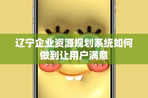 辽宁企业资源规划系统如何做到让用户满意
