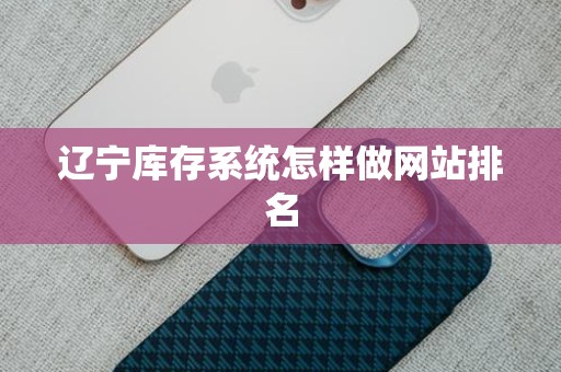 辽宁库存系统怎样做网站排名