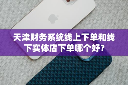 天津财务系统线上下单和线下实体店下单哪个好？