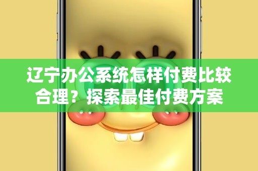 辽宁办公系统怎样付费比较合理？探索最佳付费方案