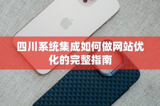 四川系统集成如何做网站优化的完整指南