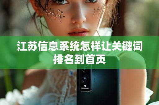 江苏信息系统怎样让关键词排名到首页