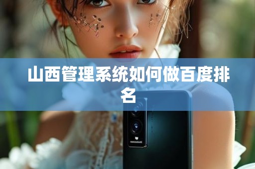 山西管理系统如何做百度排名