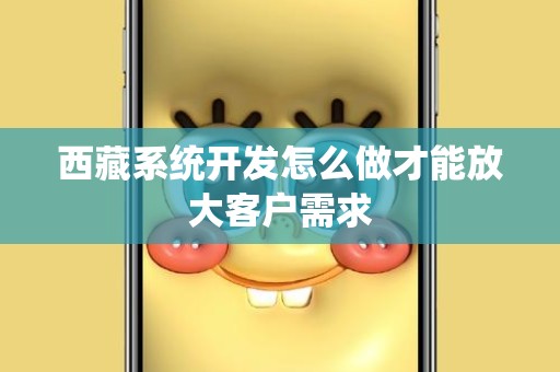 西藏系统开发怎么做才能放大客户需求