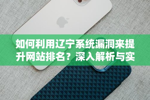 如何利用辽宁系统漏洞来提升网站排名？深入解析与实践攻略