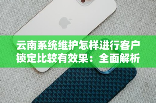 云南系统维护怎样进行客户锁定比较有效果：全面解析与策略