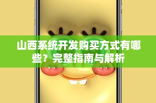 山西系统开发购买方式有哪些？完整指南与解析