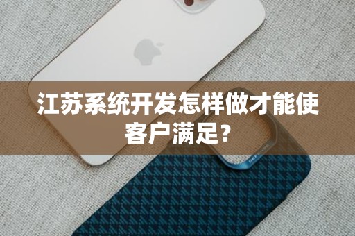 江苏系统开发怎样做才能使客户满足？