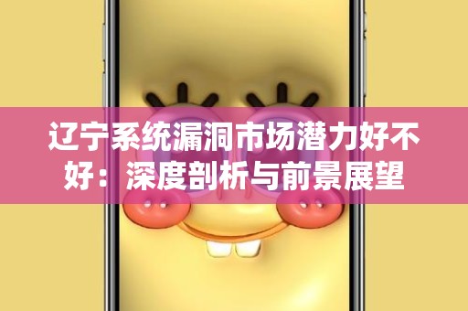 辽宁系统漏洞市场潜力好不好：深度剖析与前景展望
