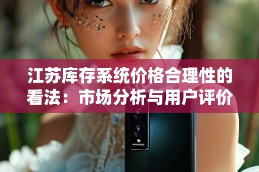 江苏库存系统价格合理性的看法：市场分析与用户评价