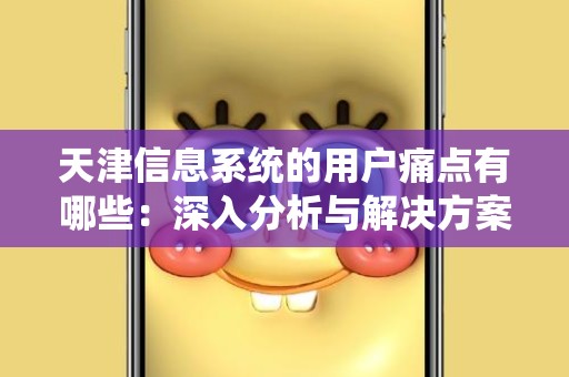 天津信息系统的用户痛点有哪些：深入分析与解决方案