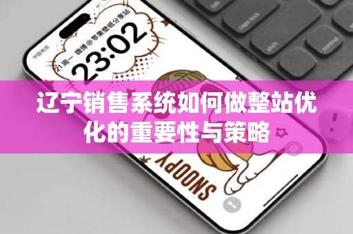 辽宁销售系统如何做整站优化的重要性与策略