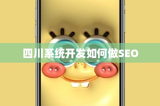 四川系统开发如何做SEO