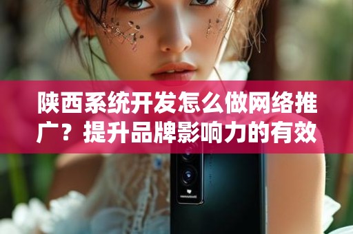 陕西系统开发怎么做网络推广？提升品牌影响力的有效策略